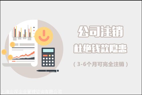 松江區吊銷公司如何注銷